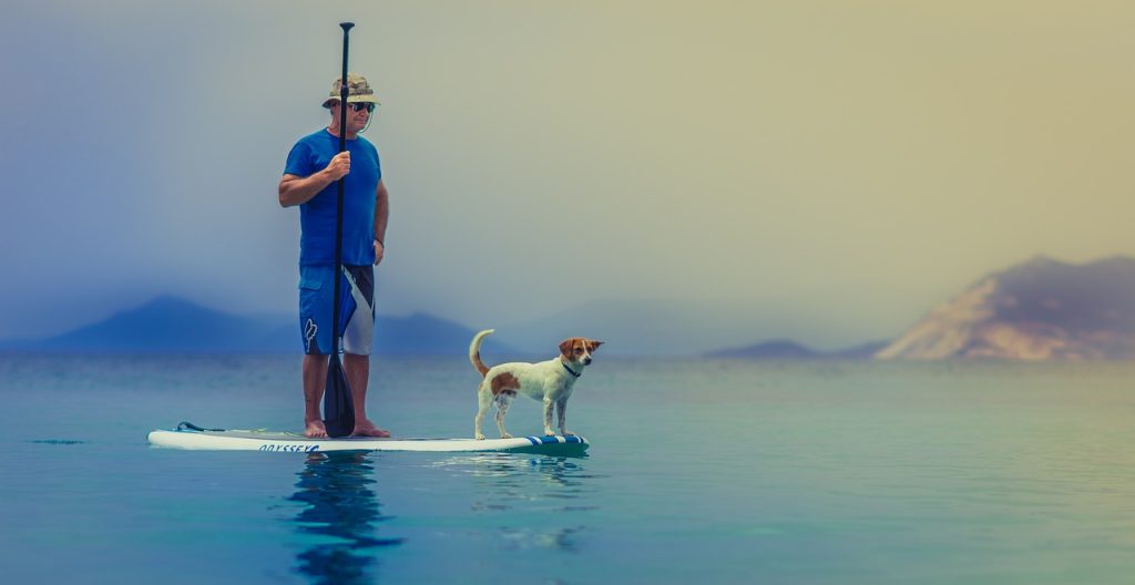 paddle chien vacances