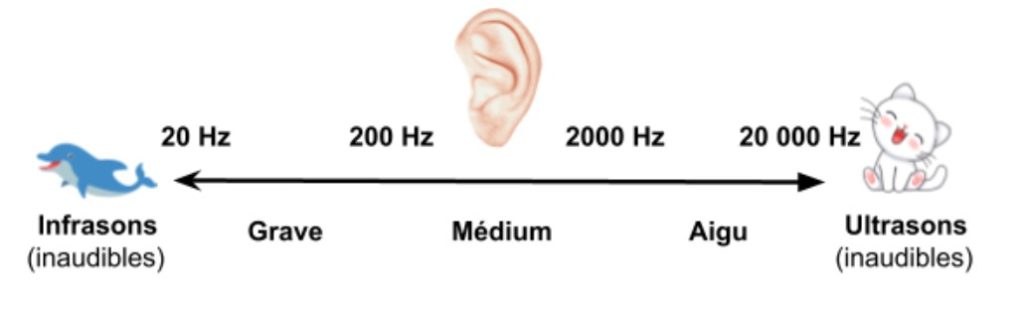 échelle d'audibilité